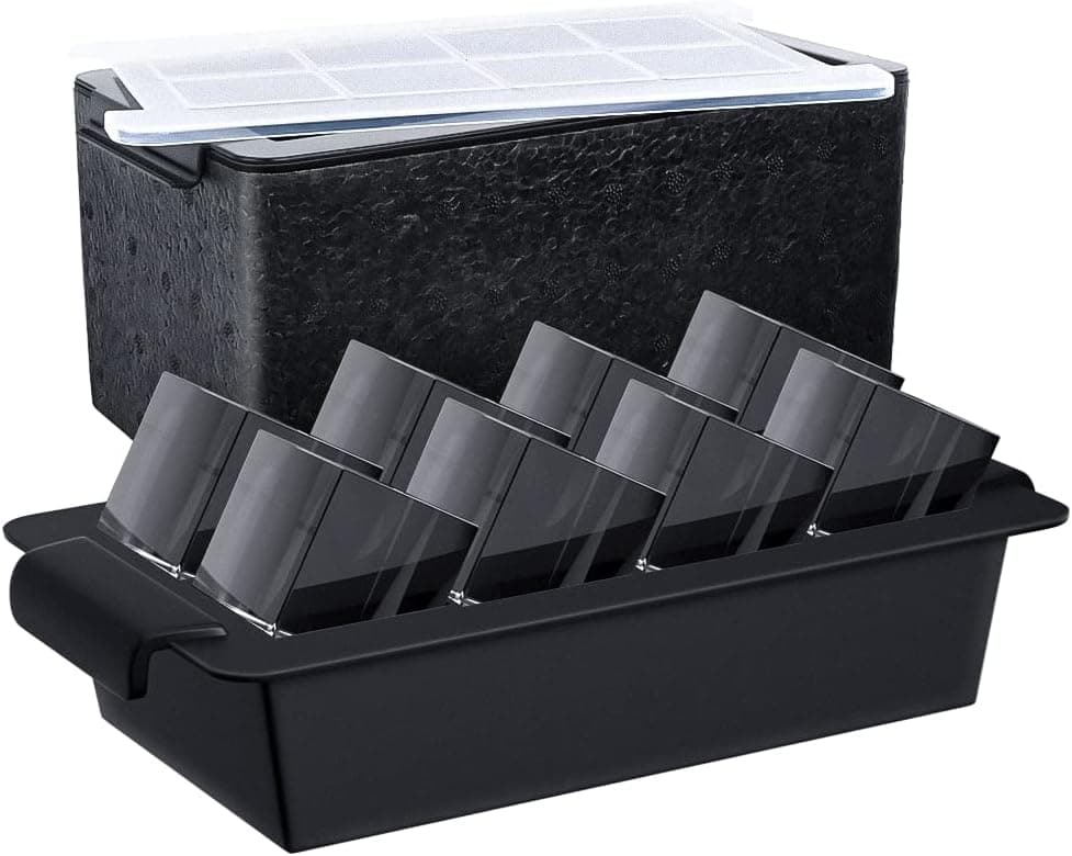 TINANA insulated clear ice cube tray with eight large square cavities and a lidded freezer box
